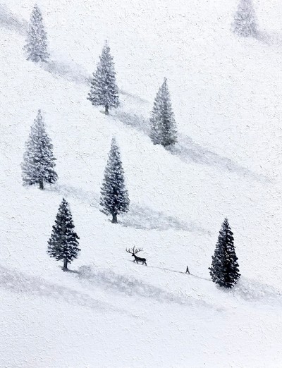 이희정-건너가는 사람