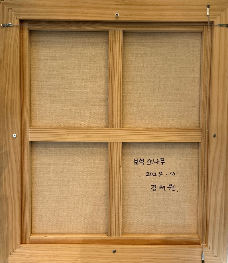 chae-0301