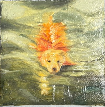 누아, 조용한 헤엄