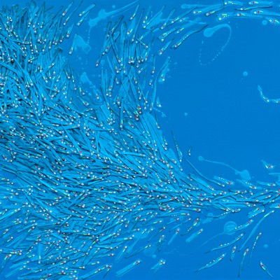 판매 이력 아이템