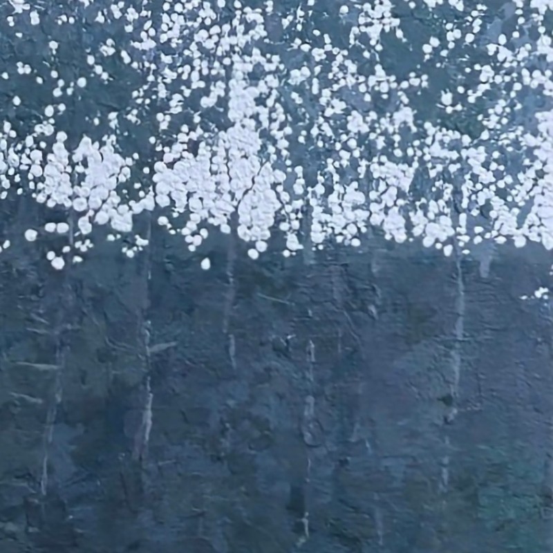 dnduf0703