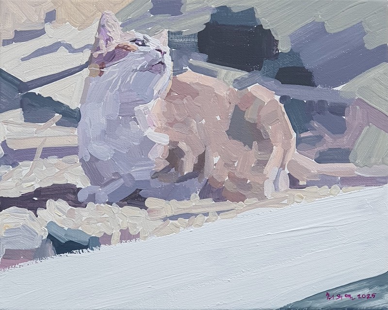 dnduf0703