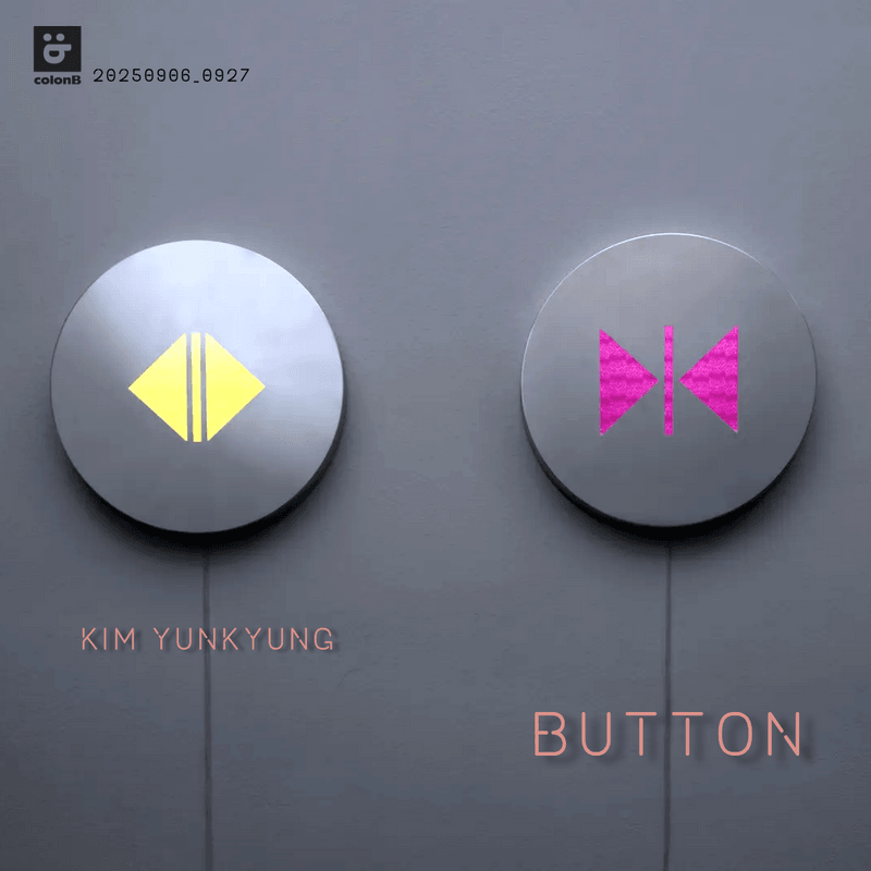 BUTTON 버튼