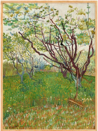 빈센트 반 고흐 (Vincent van Gogh), The Flowering Orchard, 1888