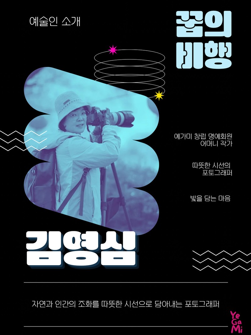꿈의비행