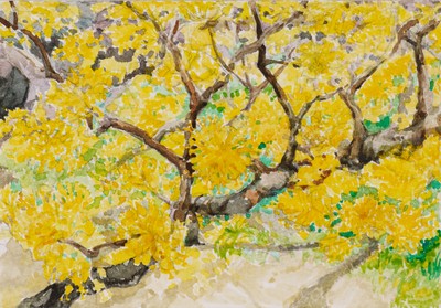 향설 김현지, 산수유 (Sansuyu Blossom)