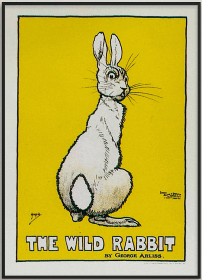 Maeght Fundation, The Wild Rabbit