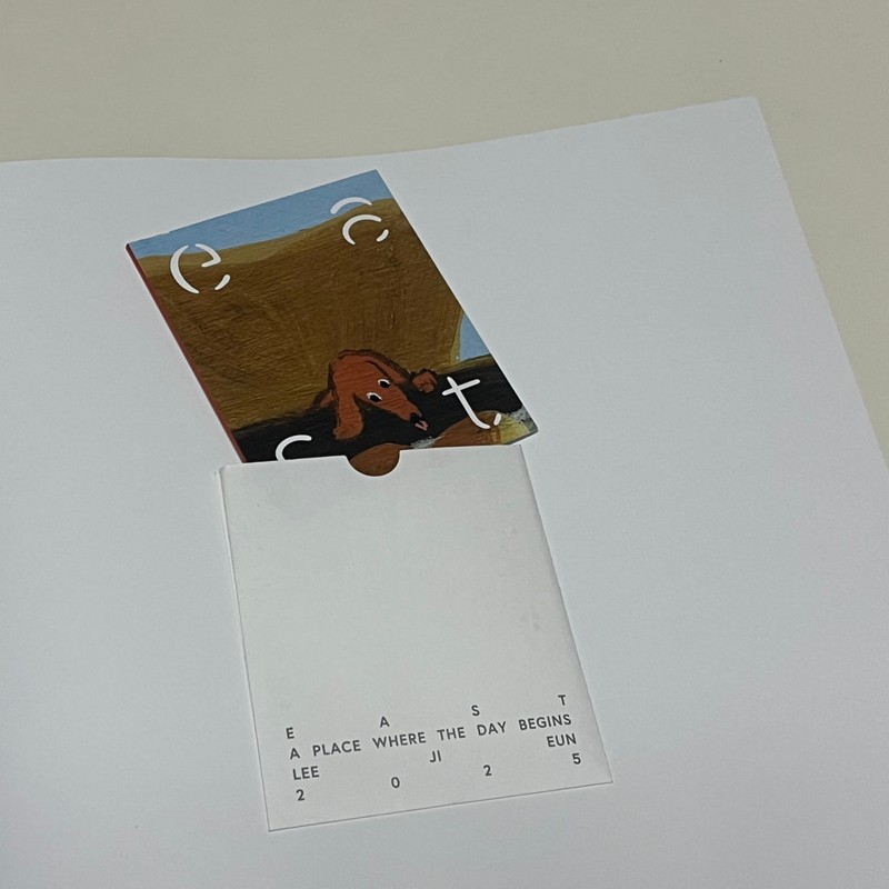 이지은-포스터, 도록