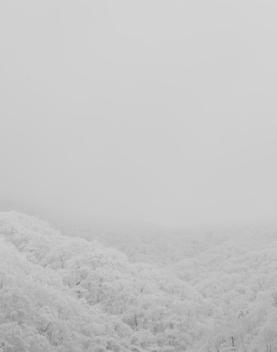 민희기-아침가리 002