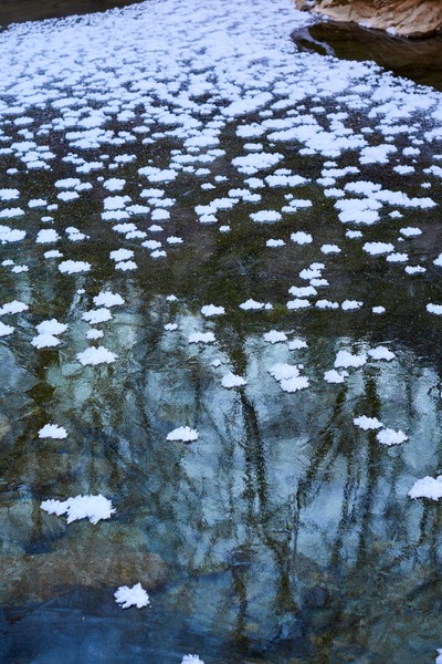 민희기-아침가리 003