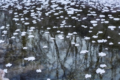 민희기-아침가리 004