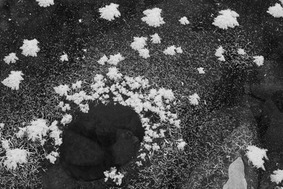 민희기-아침가리 005