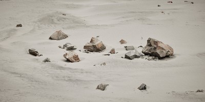 민희기-SNOW FOREST 001