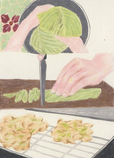 가든그림-양배추