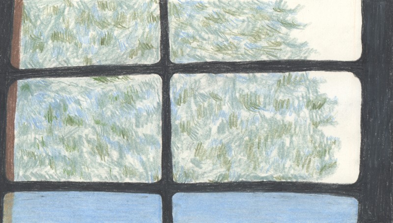 garden.drawing