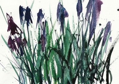 Hoonst, flower