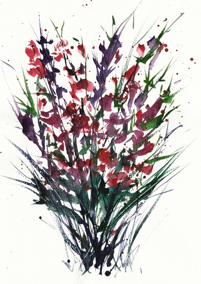 Hoonst, flower