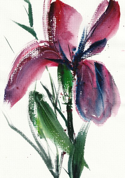 Hoonst, flower