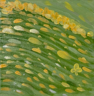 김느림, 우리들의 꿈동산 No.18