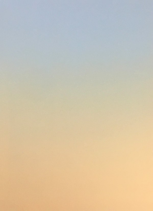 Diana Lee 다이애나 리