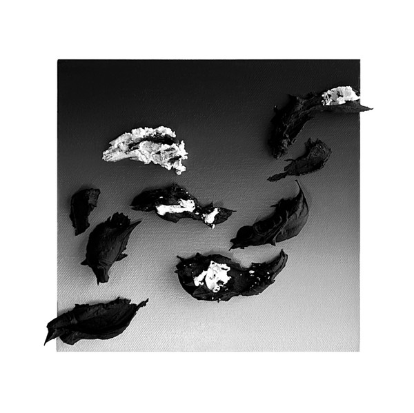 Diana Lee 다이애나 리