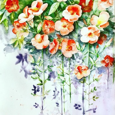 Anne Kee-Trumpet Creeper