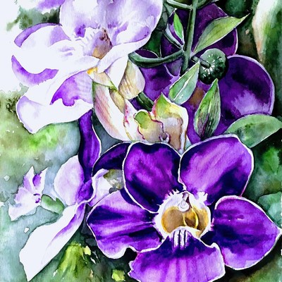 Anne Kee-Purple Trumpet Vine