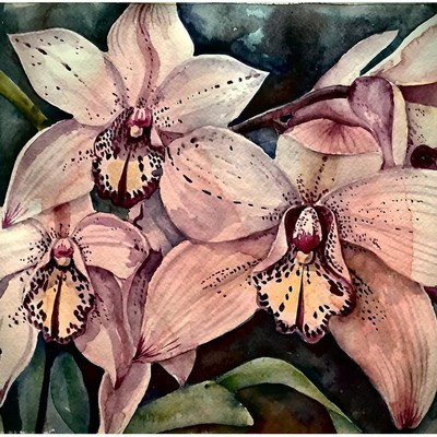 Anne Kee-ORCHID