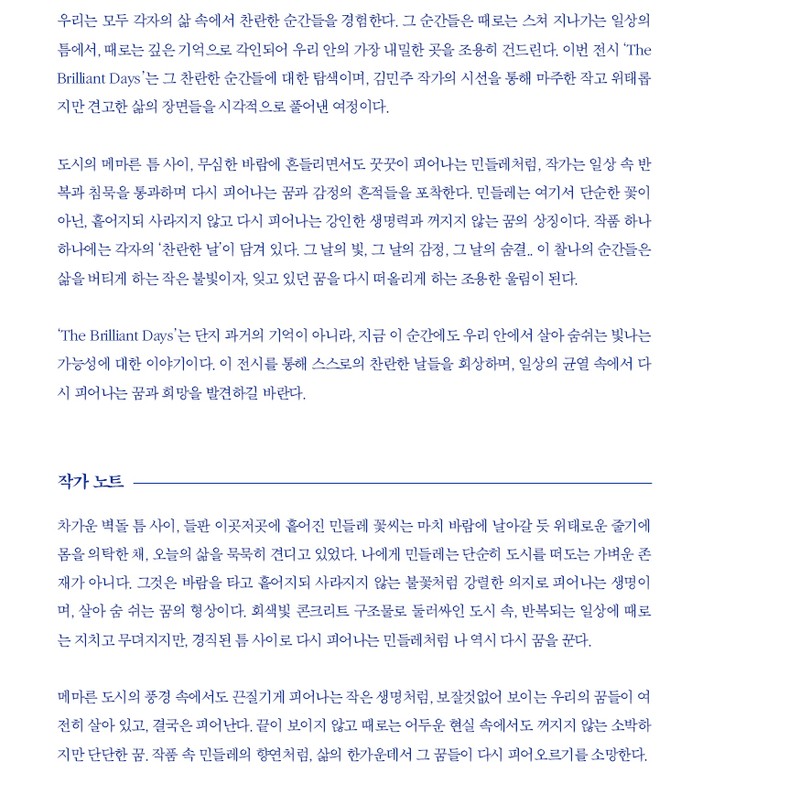 <The Brilliant Days >김민주달밤 개인전 