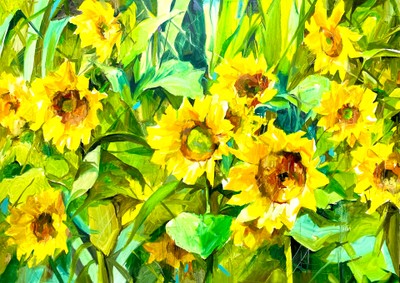 규, Yellow blanks