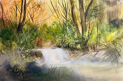 Jaden Park, The fall