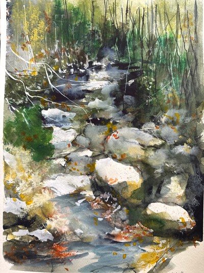 Jaden Park, Sing of forest