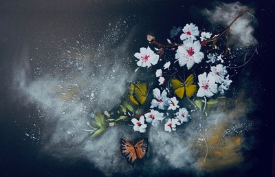 Jaden Park, 화야(花夜)