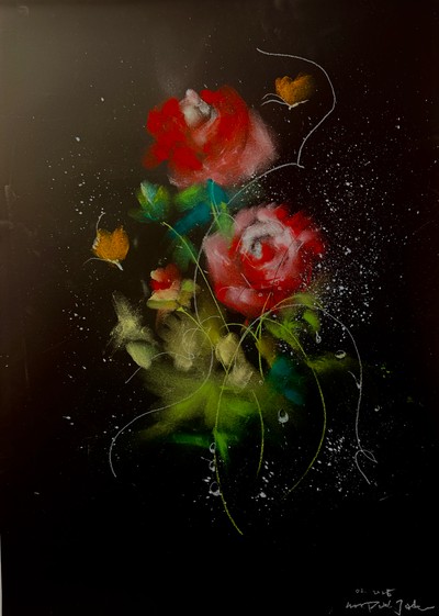 Jaden Park, Rose galaxy