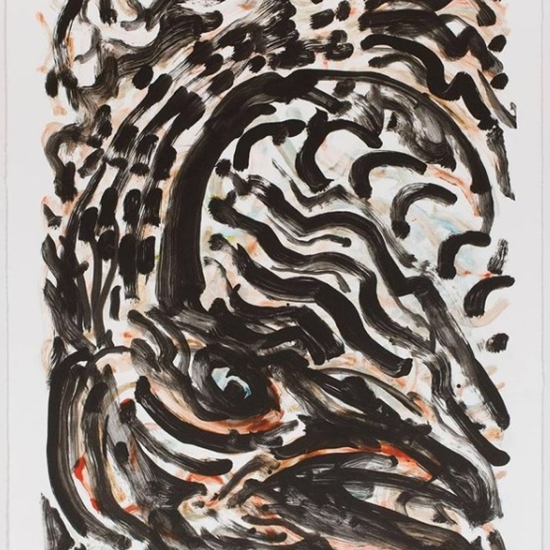 Josh Smith-Diving fish Print x