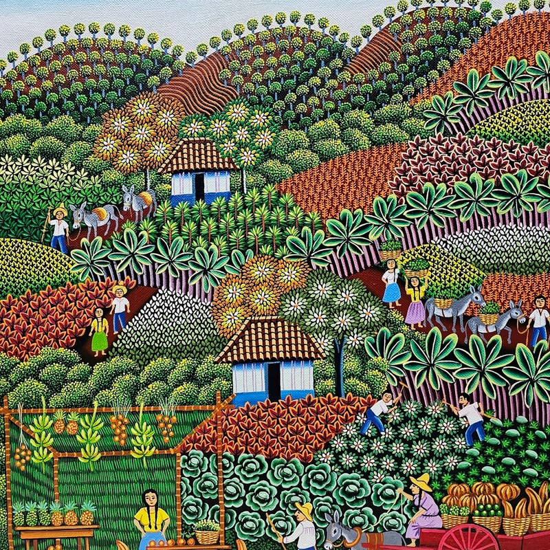 Luis Alvarado -I chopped a legumes