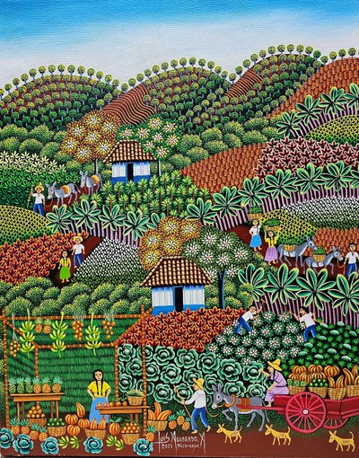 Luis Alvarado -I chopped a legumes