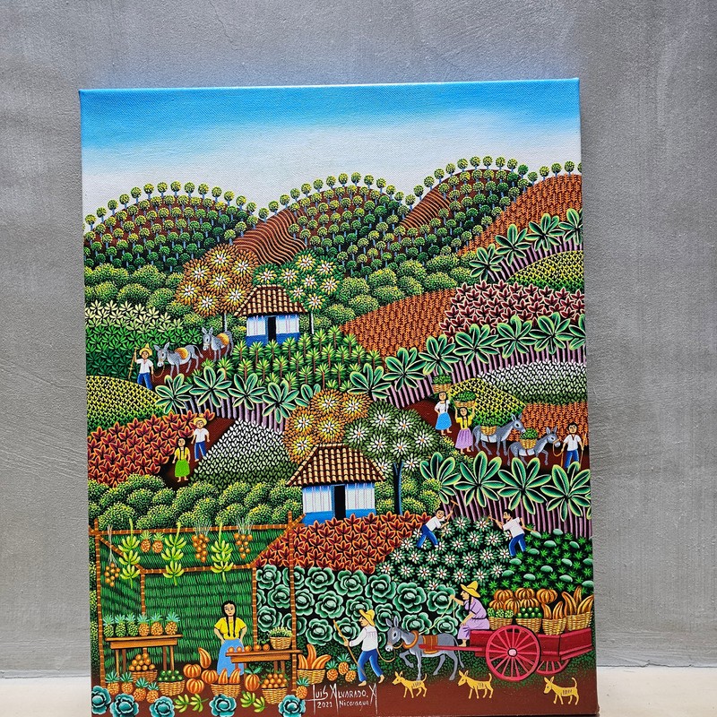 Luis Alvarado -I chopped a legumes