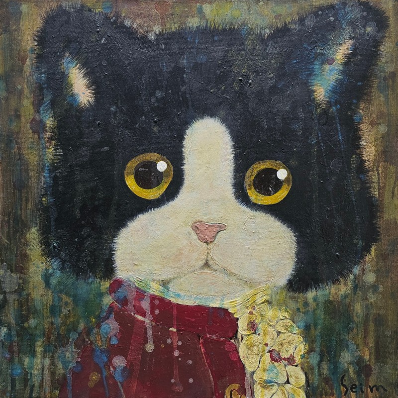 Sei Matsushita-Kid M