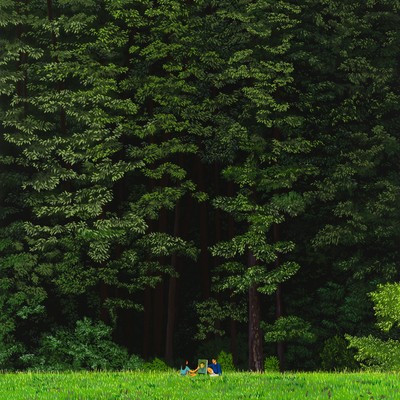 이지원-Pieces of love #6: You’re my forest