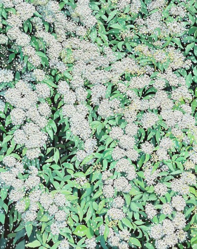 김재현-무제