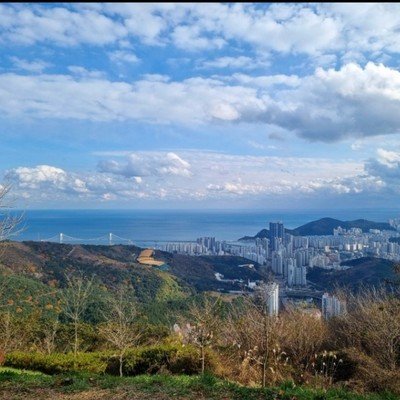 이미지-프로필