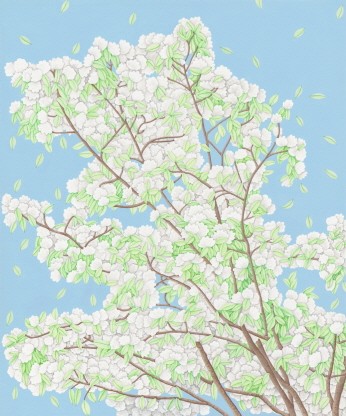 최은주-우연한 구름 
