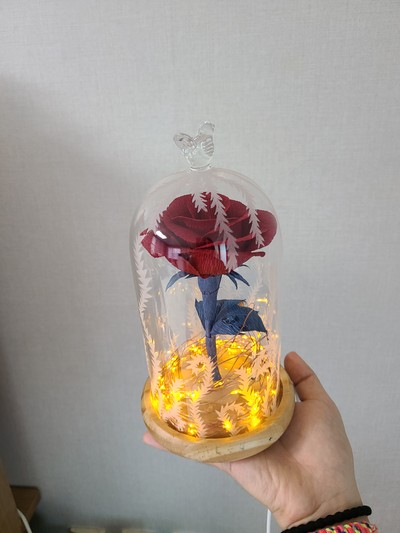 진-장미무드등