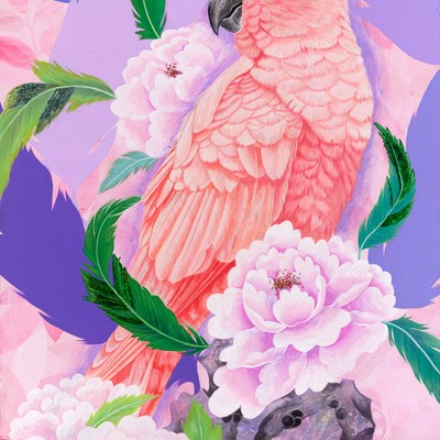 백정희-Lovely bird