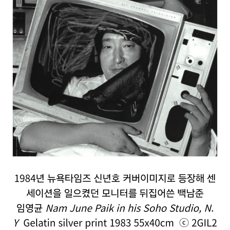 임영균-백남준 아트 포스터