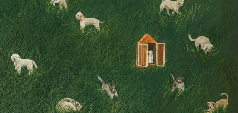 이번주 추천 작품
상상력 자극 동물그림