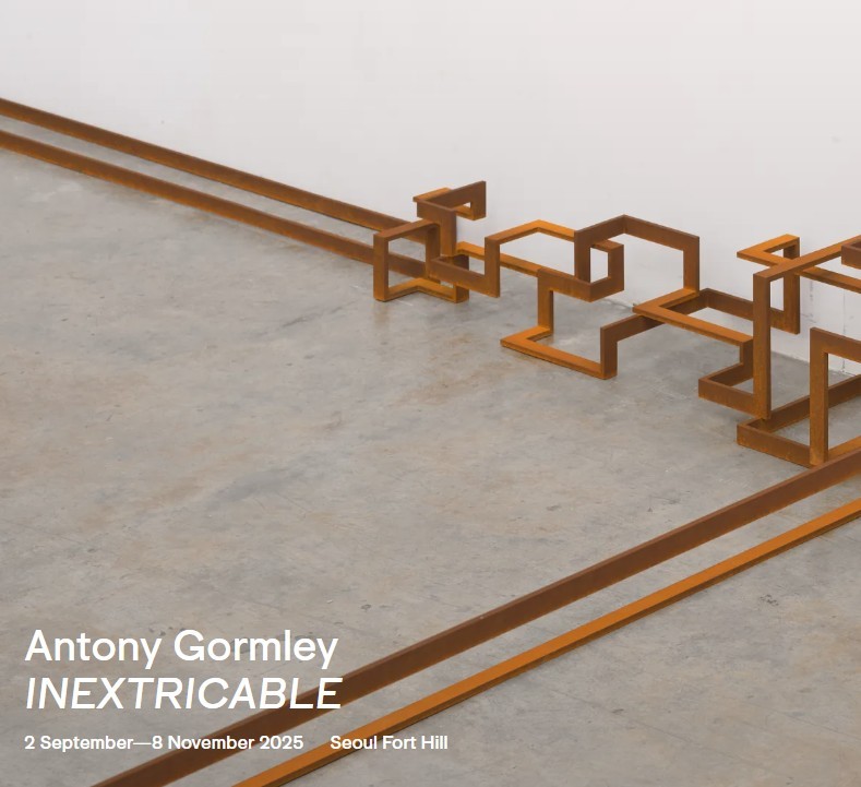 안토니 곰리, INEXTRICABLE