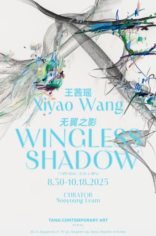 왕 시야오, 《Wingless Shadow》