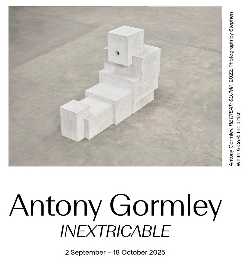 안토니 곰리, INEXTRICABLE